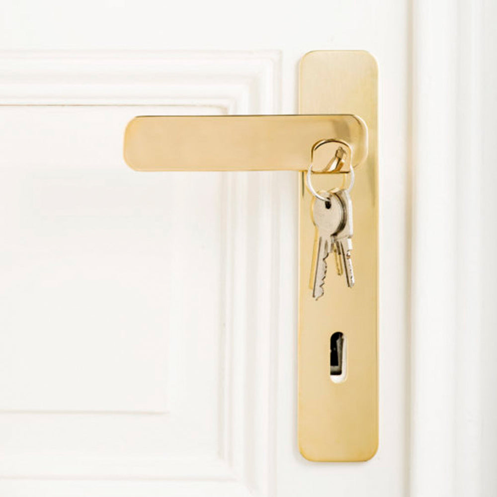 Vervloet Tibou door lever on keyed plate.