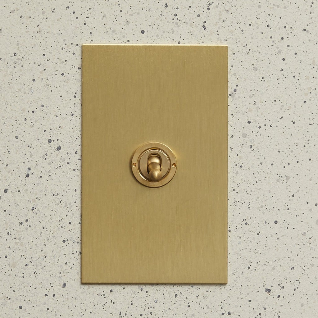 Aged brass Forbes & Lomax plate with a single toggle switch.