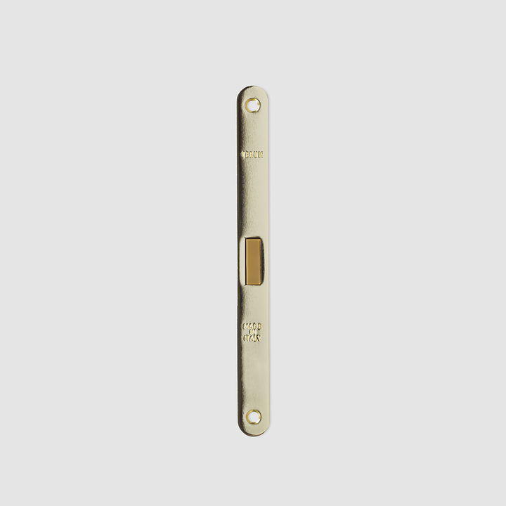Verum Privacy Mortise Lock