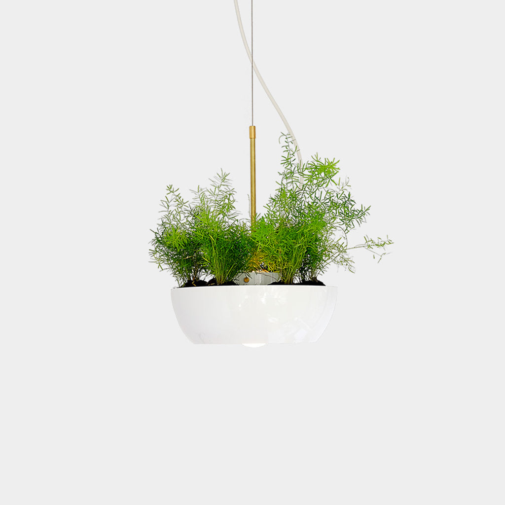 Playful Well Pendant Light and Planter by Object/Interface