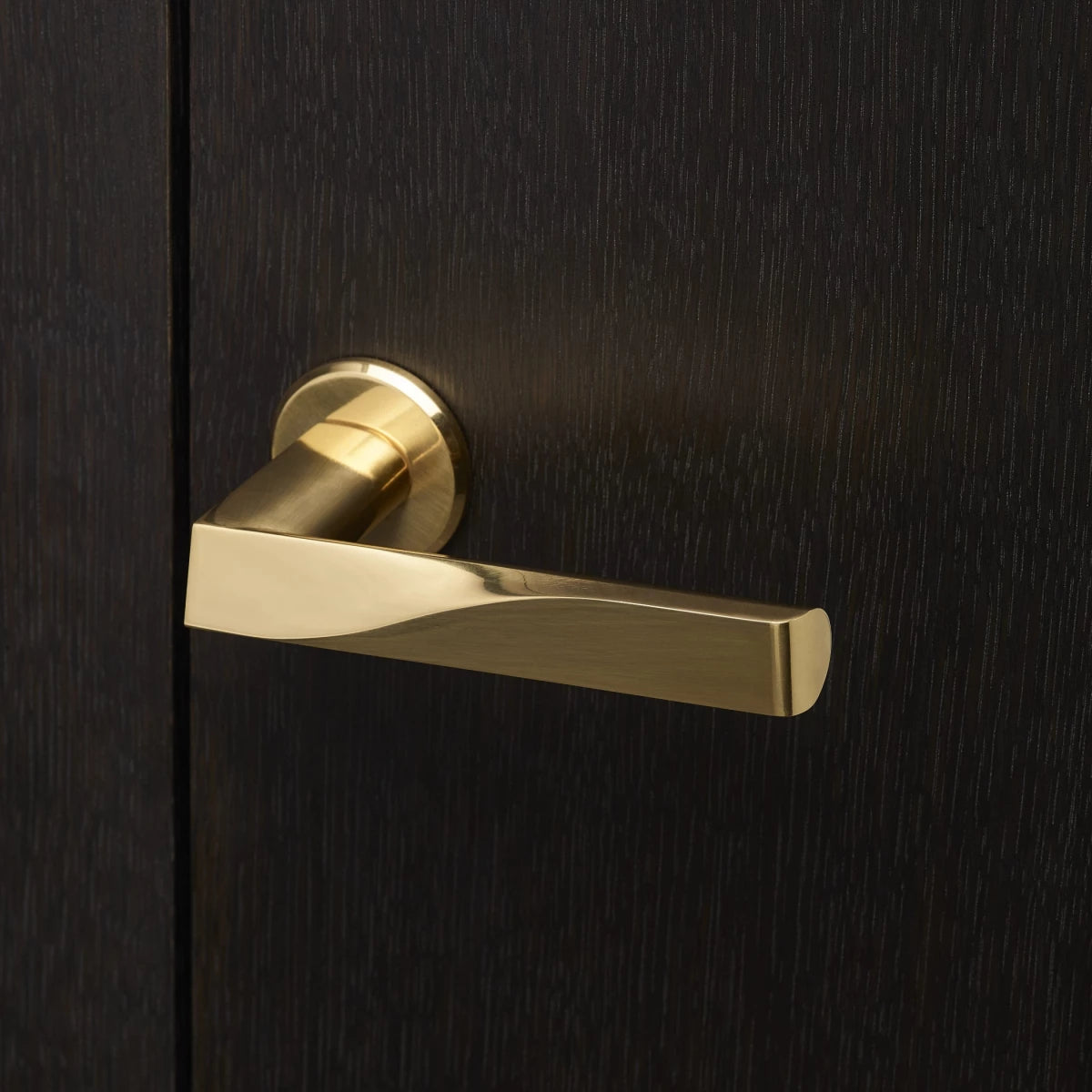 Ballet Door Lever Handle Artist Edition
