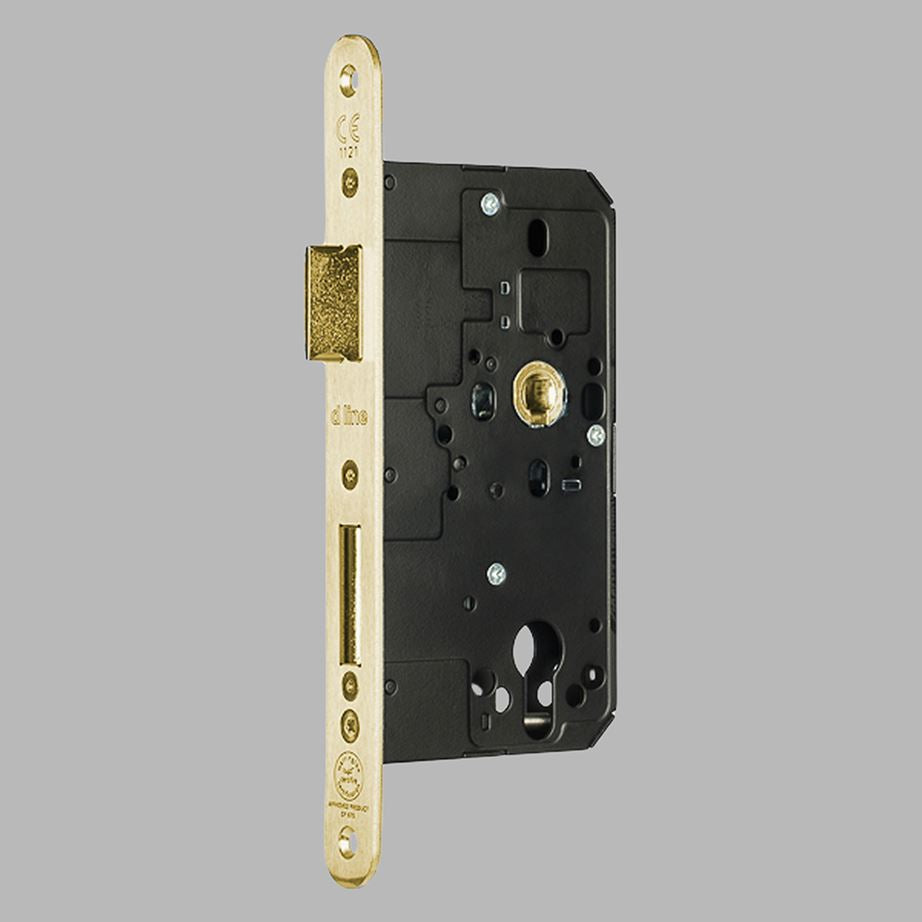 d line Euro Mortise Keyed Entry Sash Lock