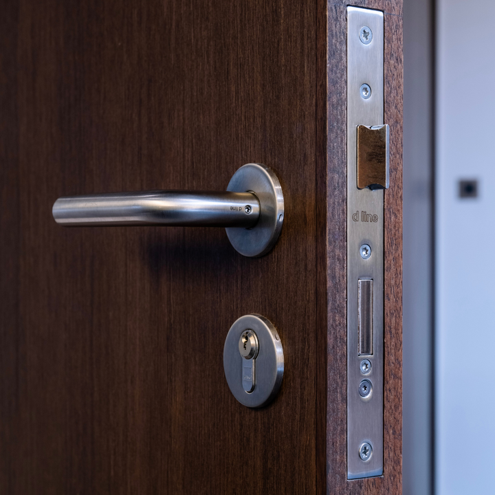 d line Euro Mortise Keyed Entry Sash Lock