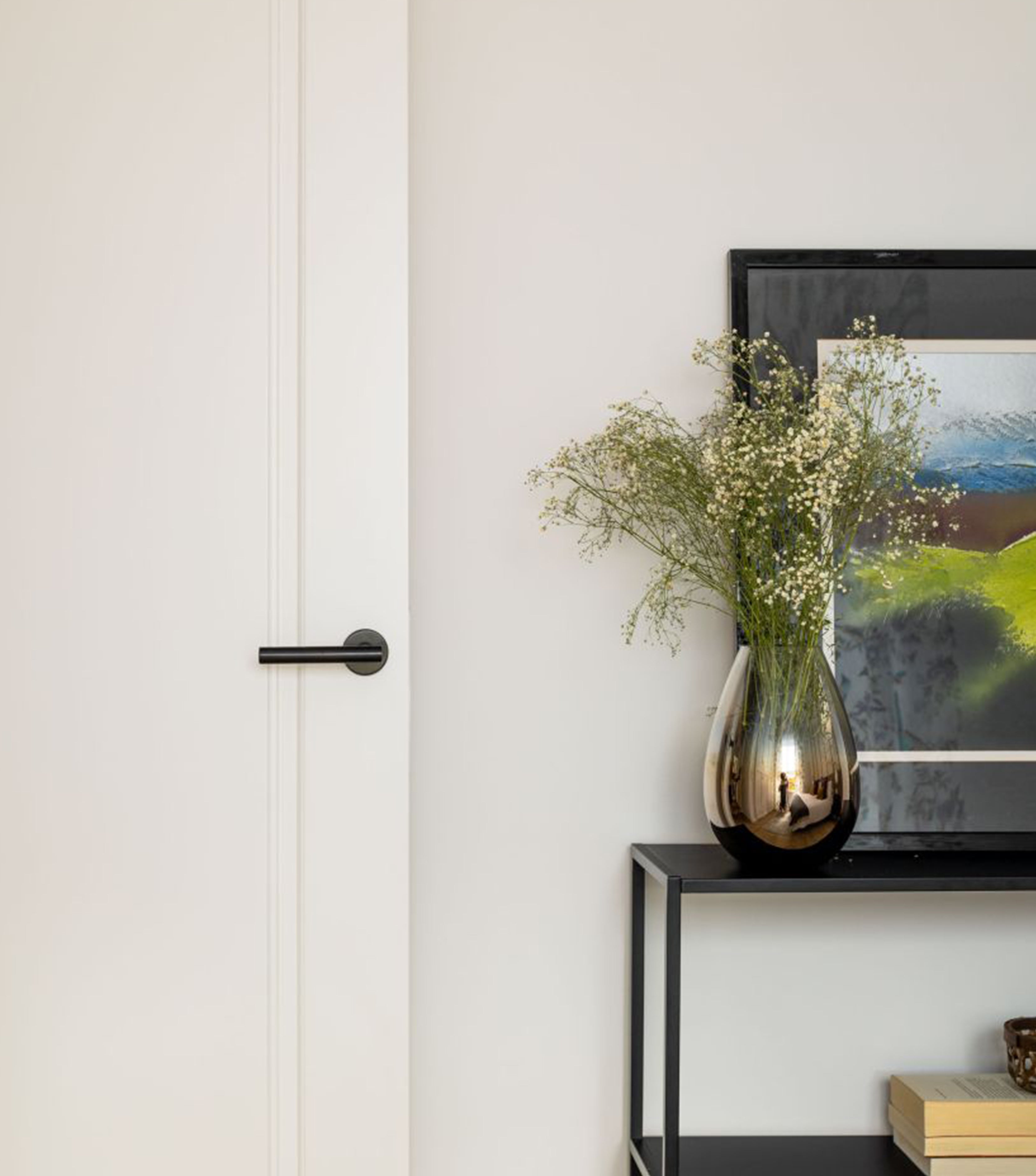 Image of white door with black passage door handle lever and console with vase and plants