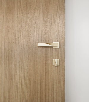 Beautiful wood grain door with brass door hardware including door lever and thumb turn